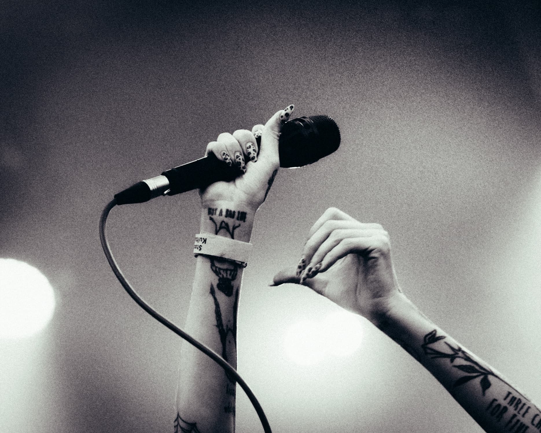 Konsertfotografering 71